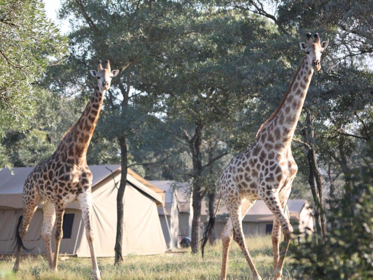 Unyati Safari Lodge Hectorspruit 외부 사진