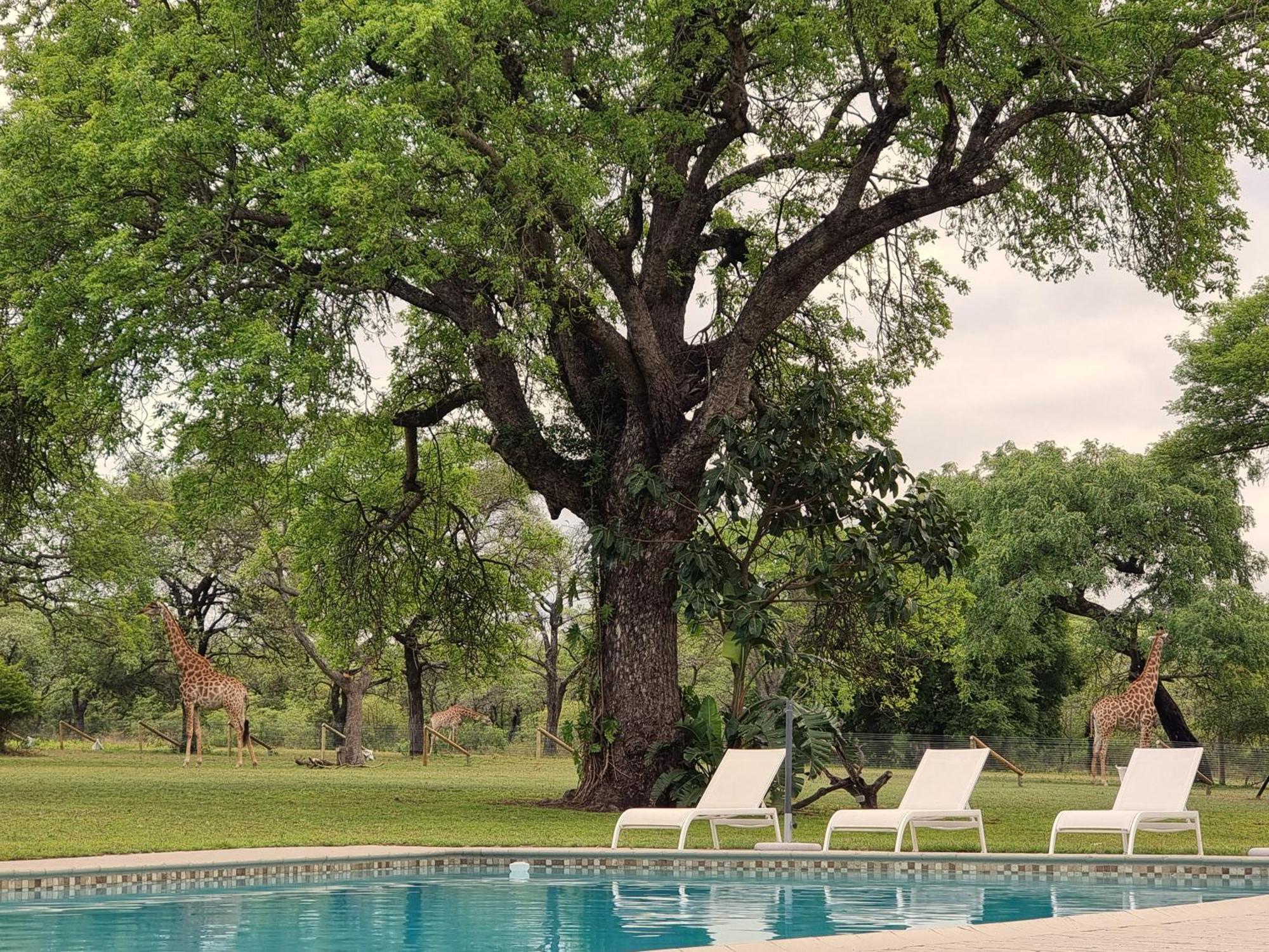 Unyati Safari Lodge Hectorspruit 외부 사진