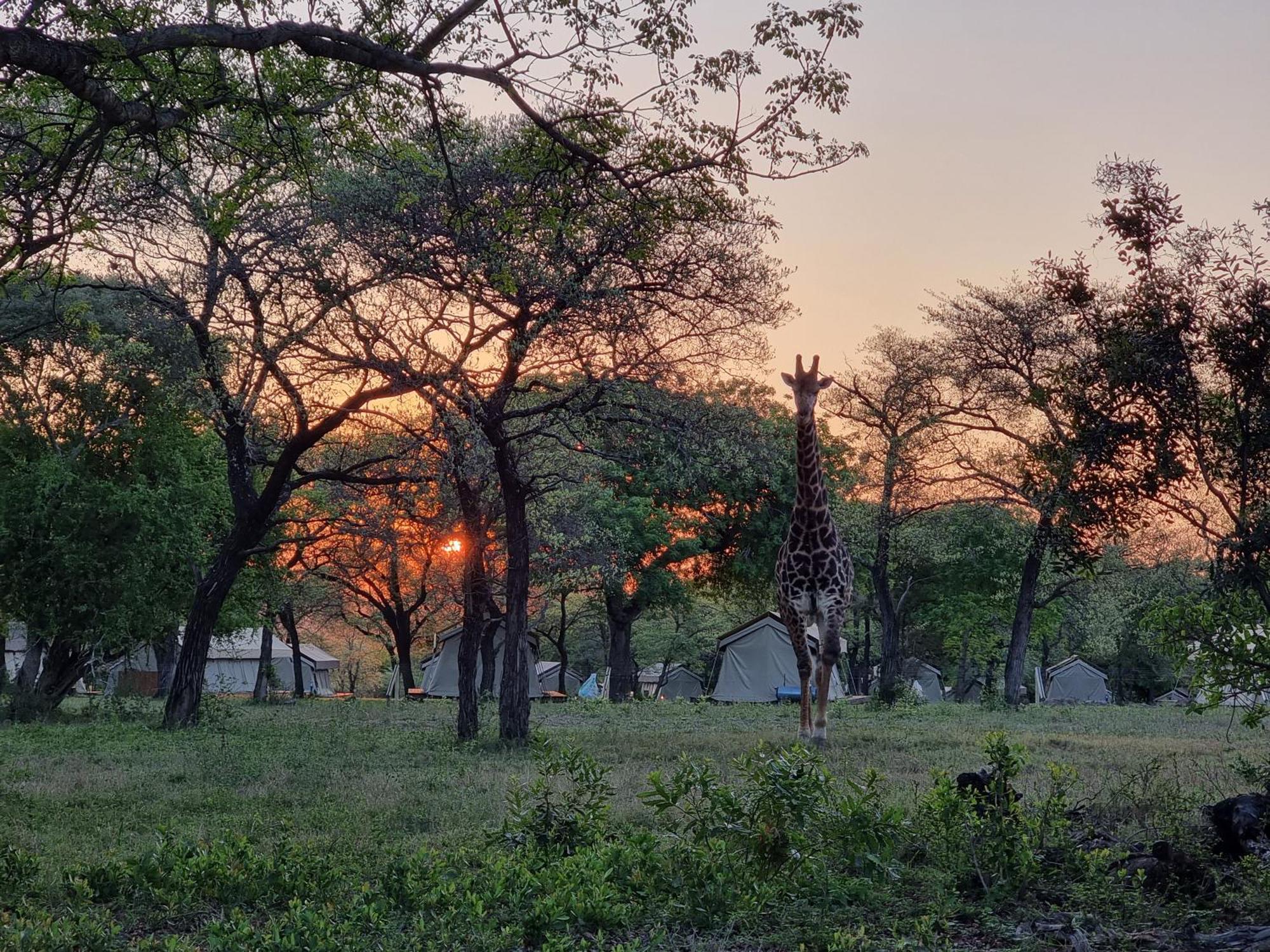 Unyati Safari Lodge Hectorspruit 외부 사진