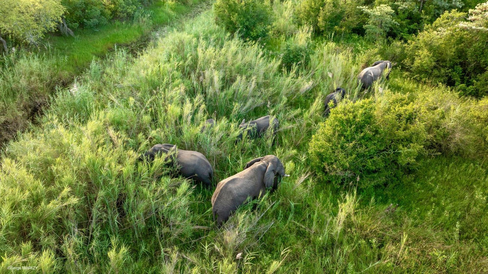 Unyati Safari Lodge Hectorspruit 외부 사진